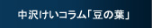 中沢コラム「豆の葉」